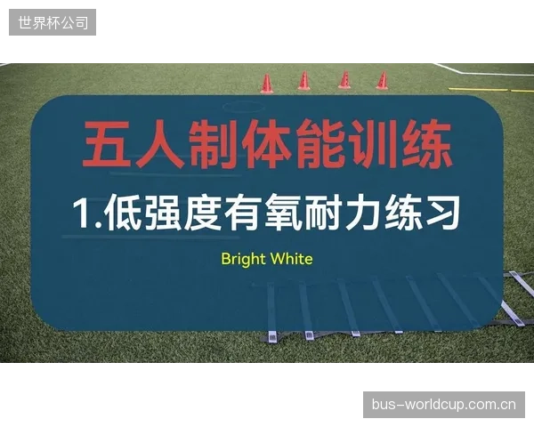 本土年轻球员体能储备与比赛强度仍有差距，需加强专项科学化训练。